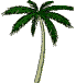 Tree-PalmWaving.gif