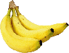 Bananas-3Small.gif