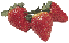 Strawberries-Small.gif